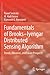 Fundamentals of Brooks–Iyen...