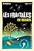 Les Fractales En Images