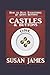Castles & Buttons-(Book One) How to Have Everything by Doing Nothing: Advanced Higher Mechanics