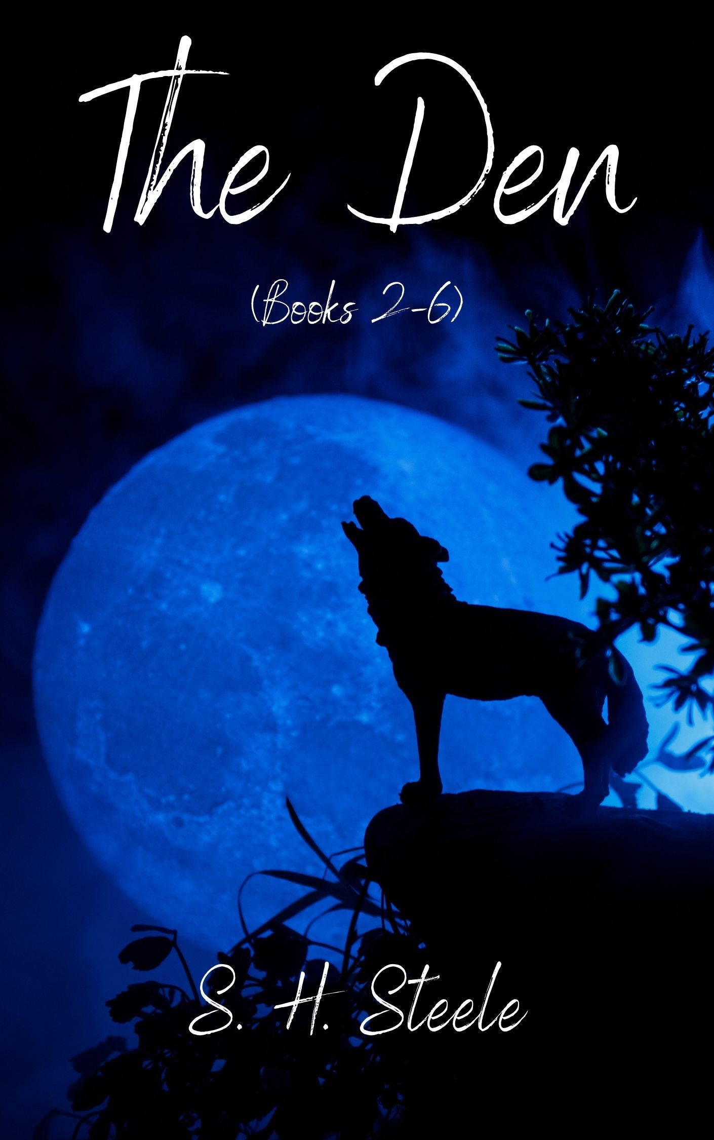 The Den  Box Set: Books 2-6