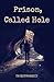 Prison, Called Hole (Gentle Beasts)
