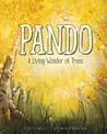 Pando by Kate Allen  Fox