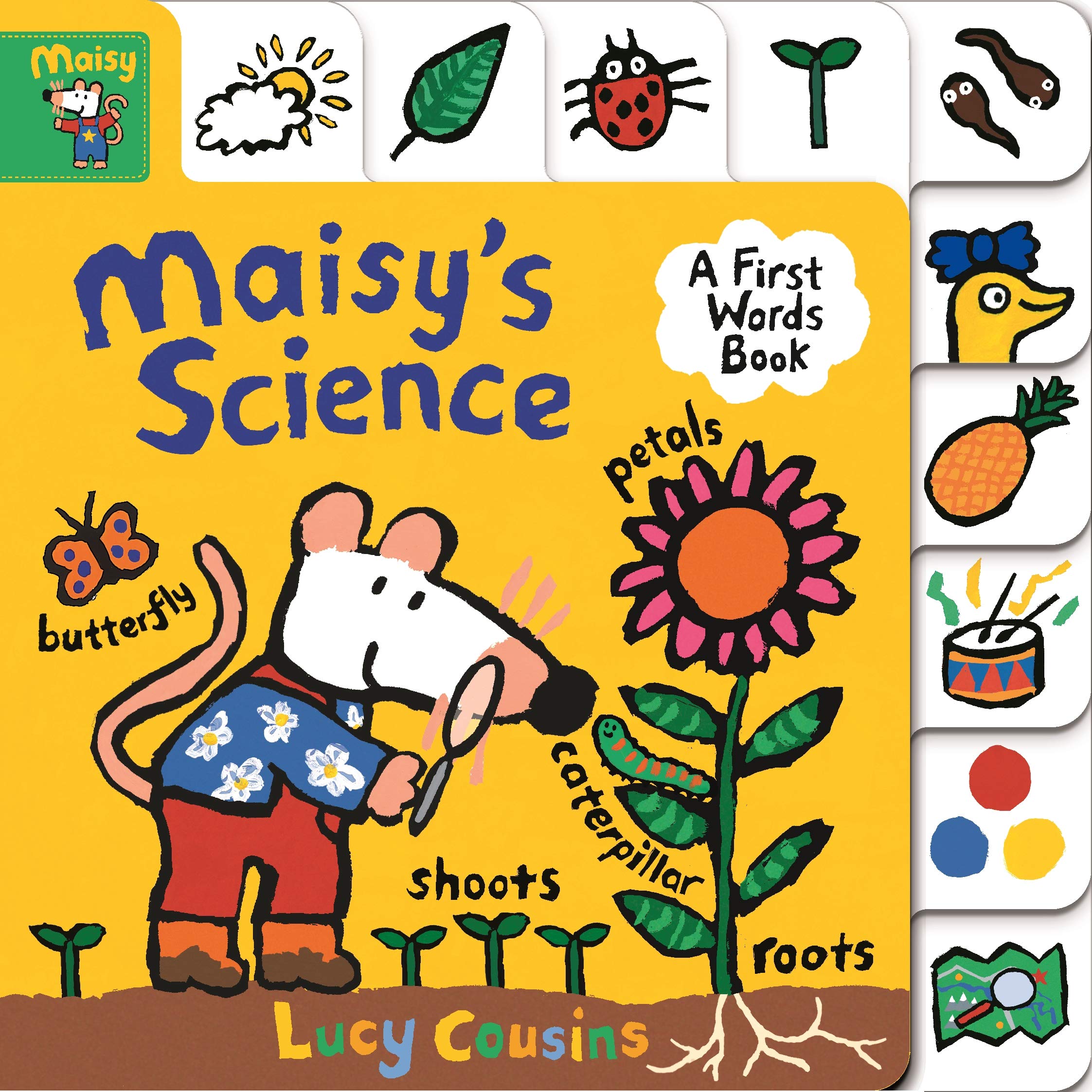 Maisy's Science A First Words Book (Board book)