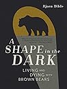A Shape in the Da...