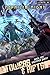 Beginner Quest (Towers & Rifts, #1)