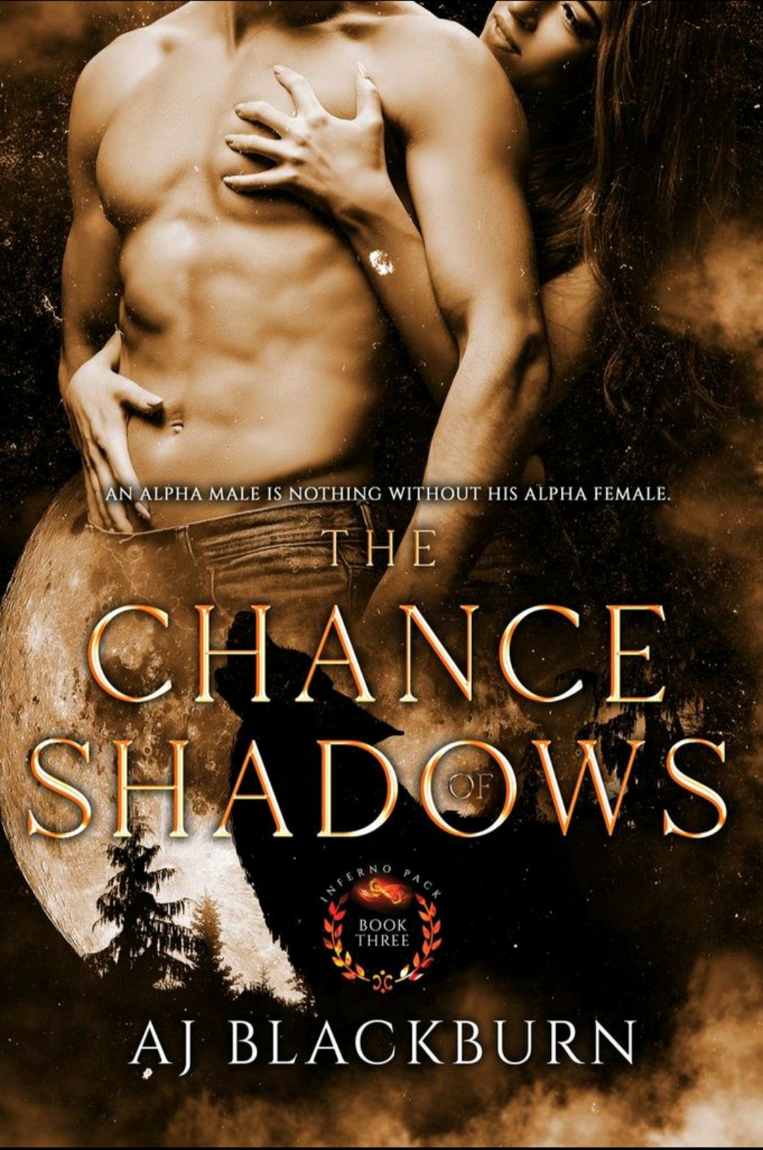 The Chance of Shadows (Inferno Pack, #3)