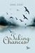 Taking Chances by Amal Zayat