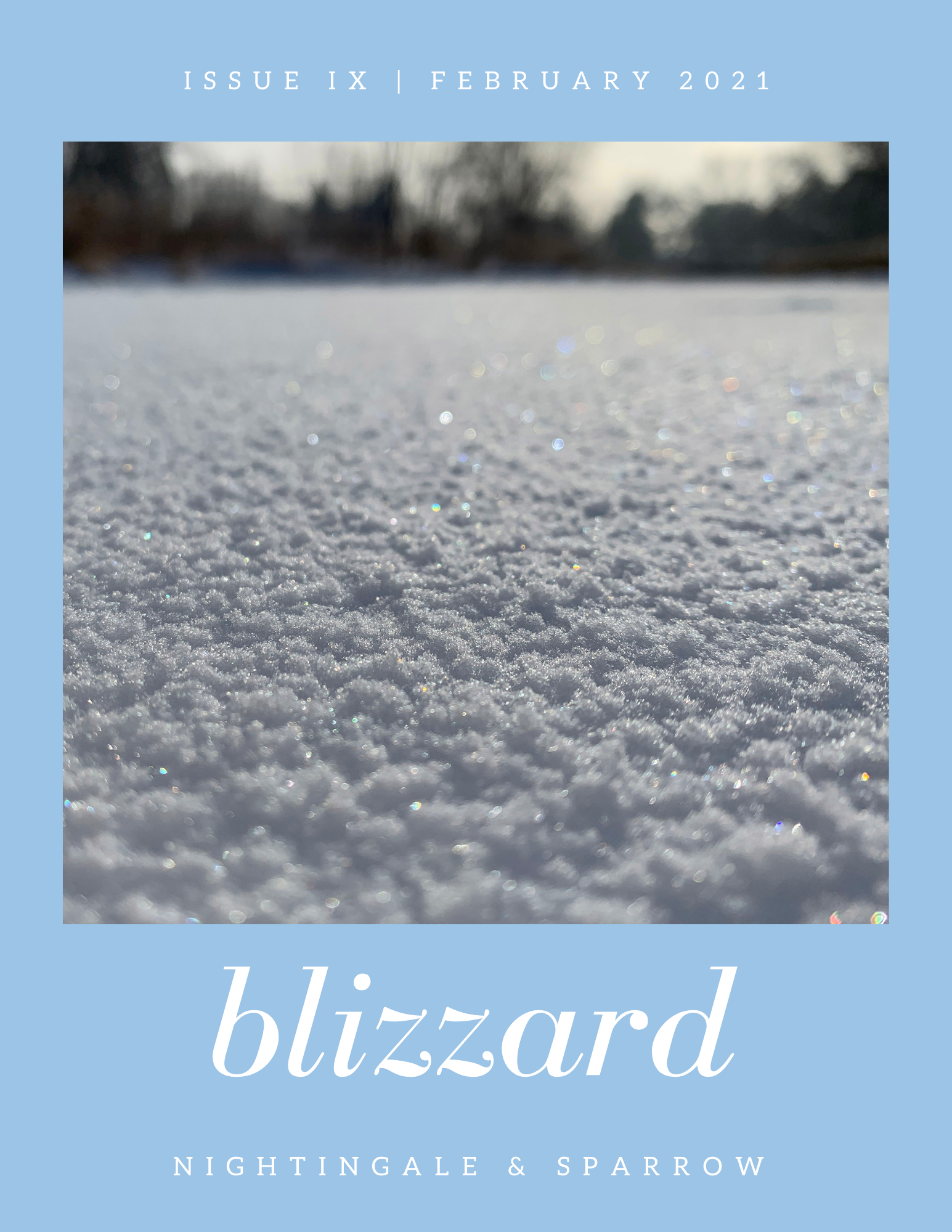blizzard (Nightingale & Sparrow, issue no. IX)