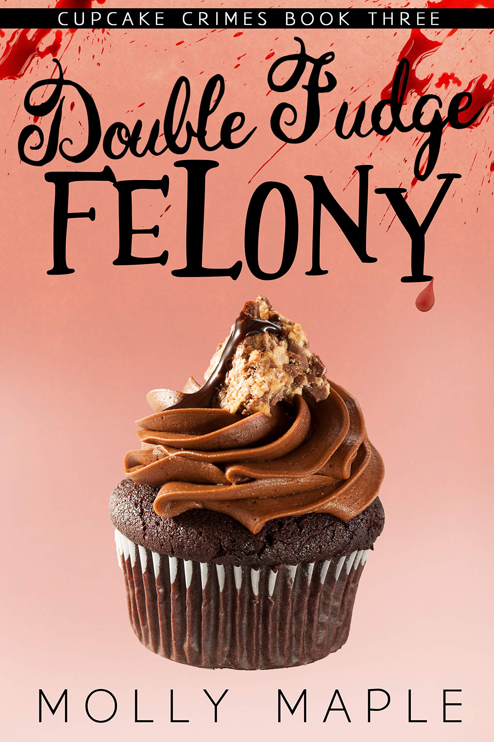Double Fudge Felony (Cupcake Crimes, #3)