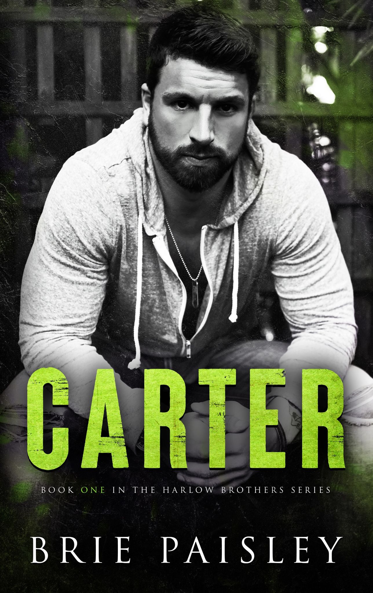 Carter (The Harlow Brothers, #1)