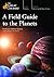 A Field Guide to the Planets