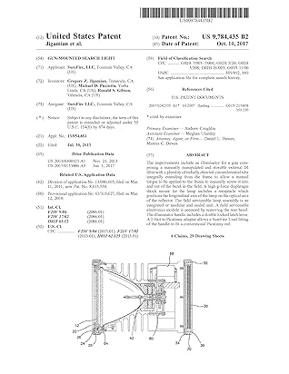 Gun-mounted search light: United States Patent 9784435