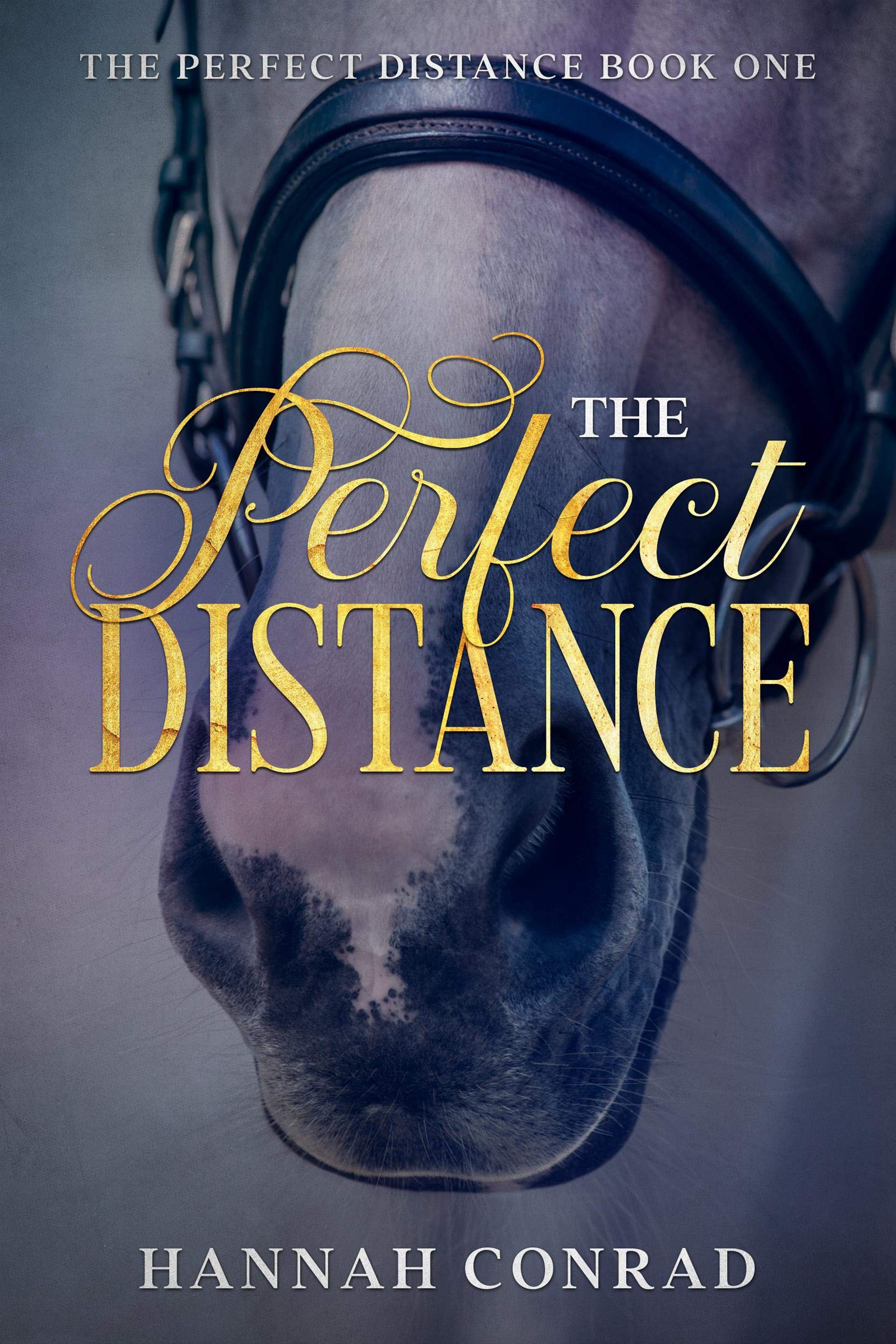 The Perfect Distance (The Perfect Distance, #1)
