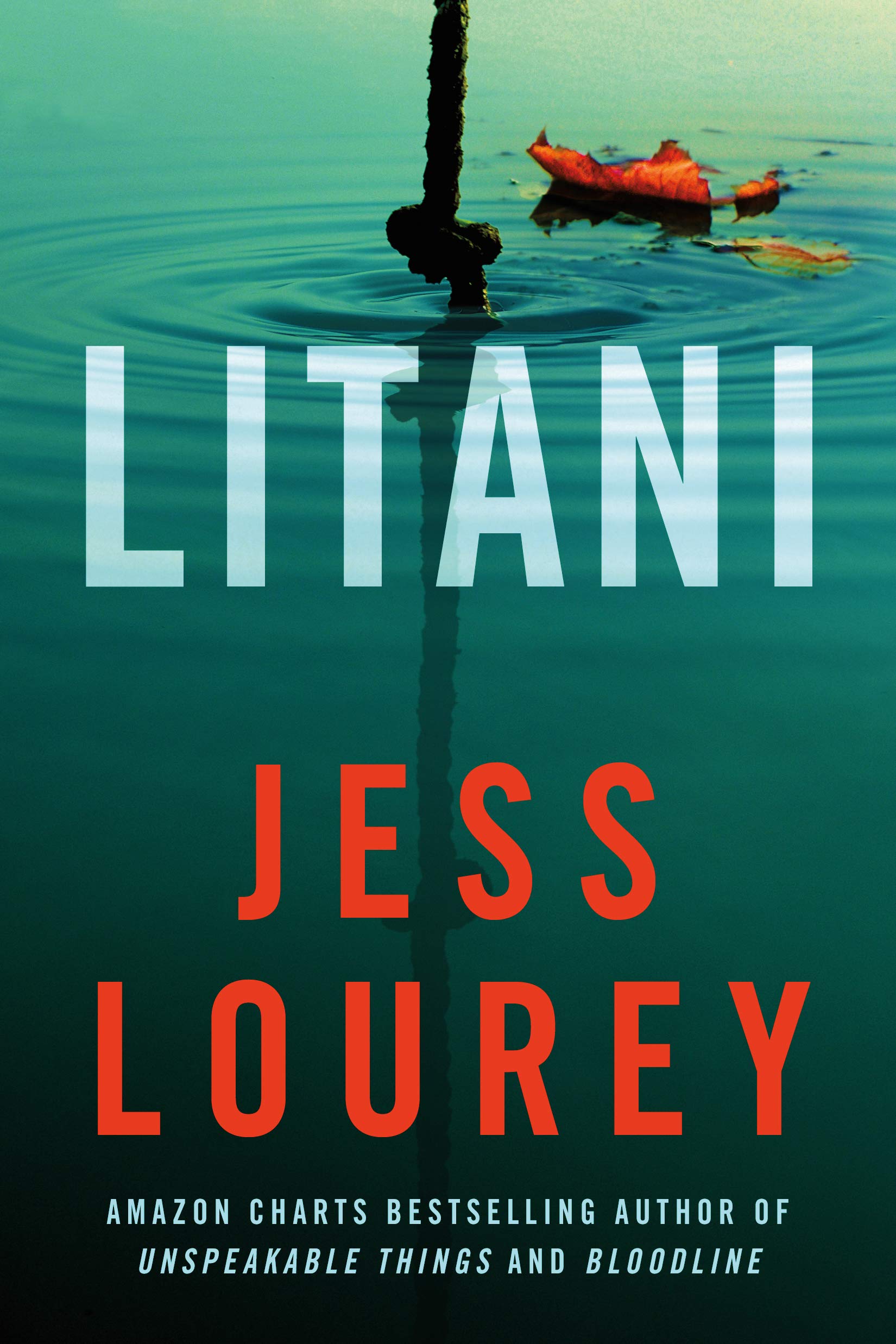 Litani (Kindle Edition)