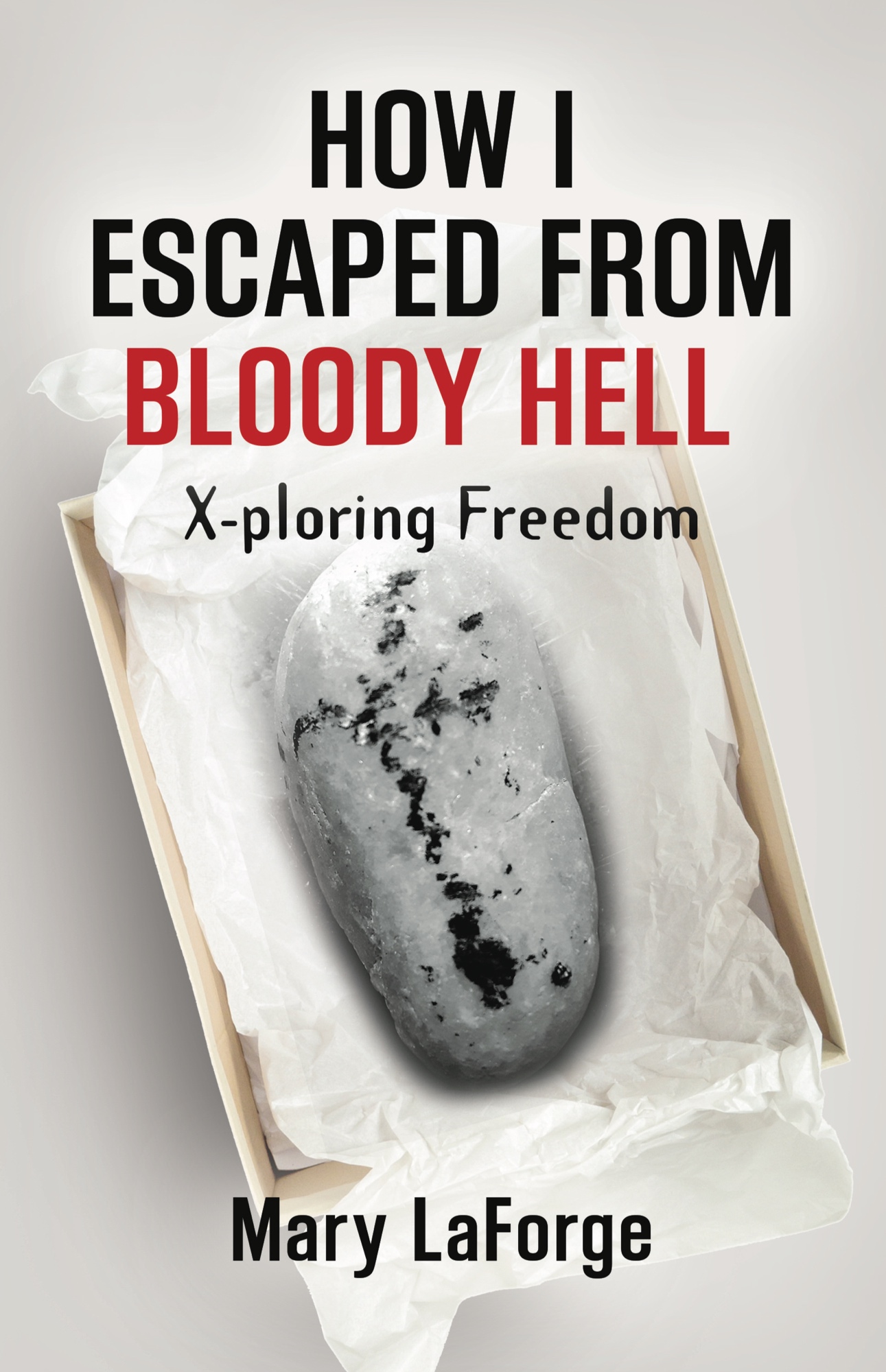 How I Escaped From Bloody Hell: X-ploring Freedom (Paperback)