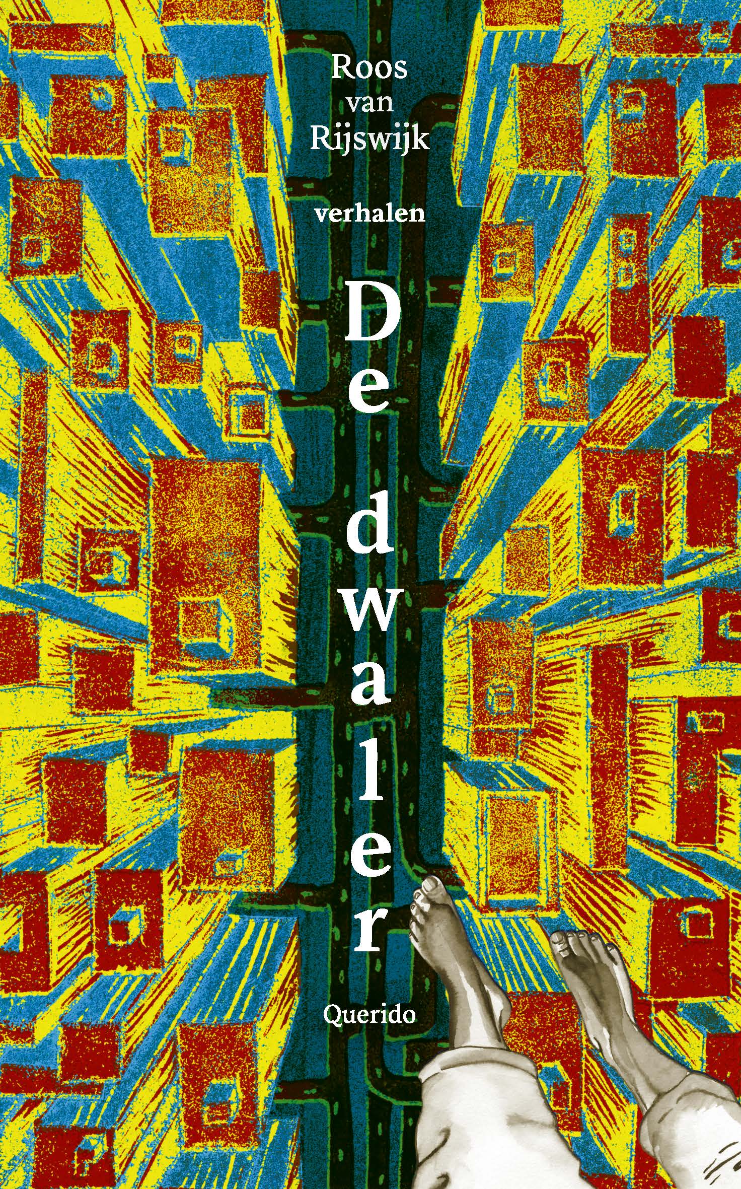 De dwaler (Paperback)