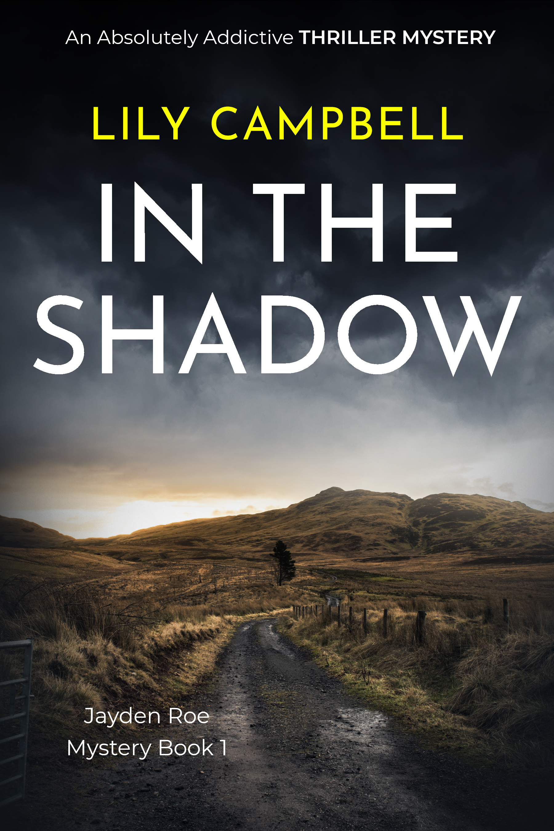 In The Shadow (Jayden Roe, #1)