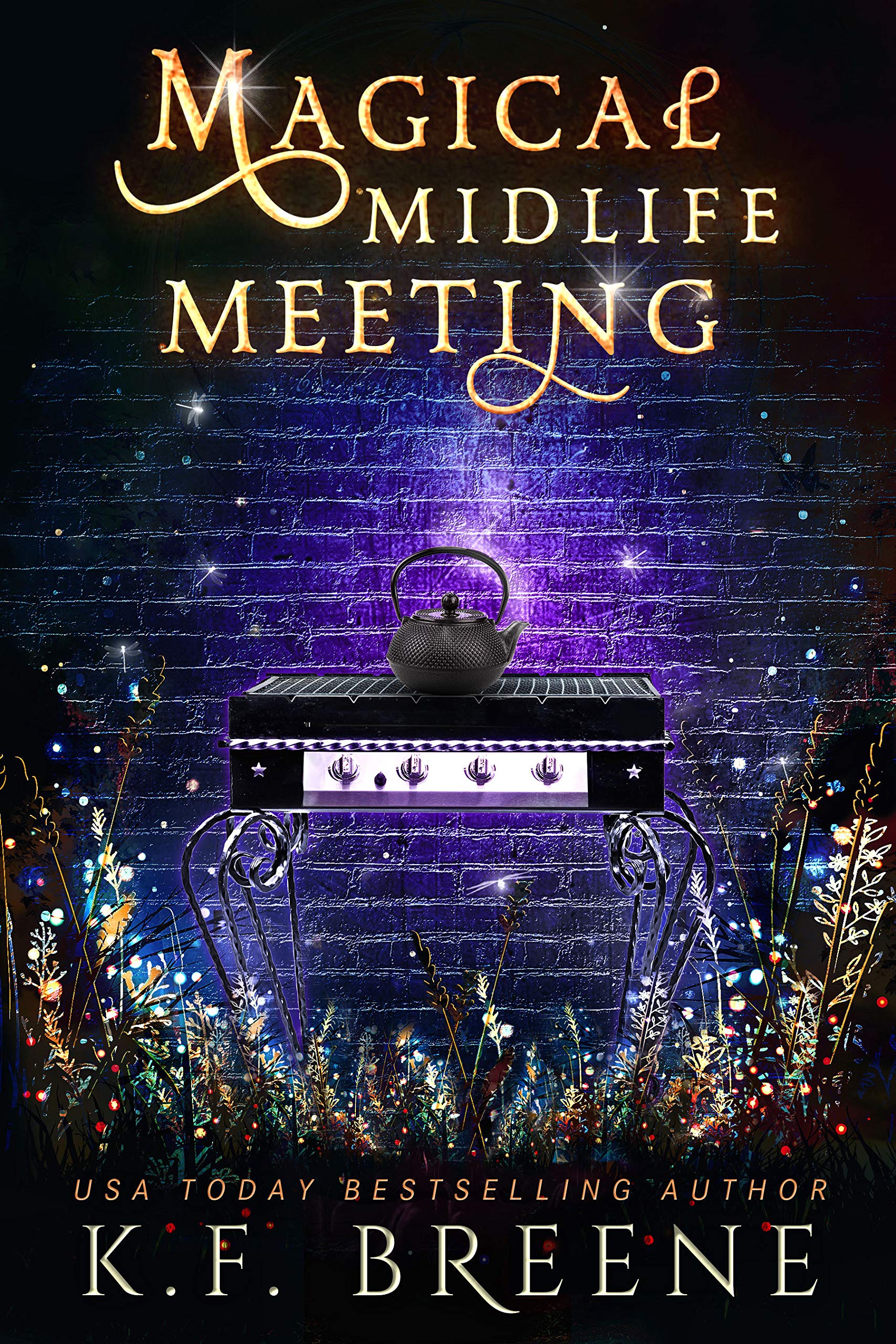 Magical Midlife Meeting (Leveling Up, #5)