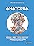 Anatomia