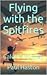 Flying with the Spitfires by Paul Haston