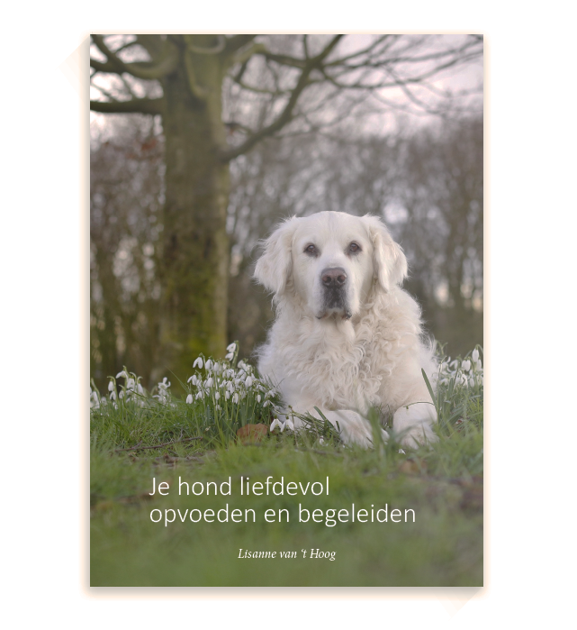 Je hond liefdevol opvoeden en begeleiden (Paperback)
