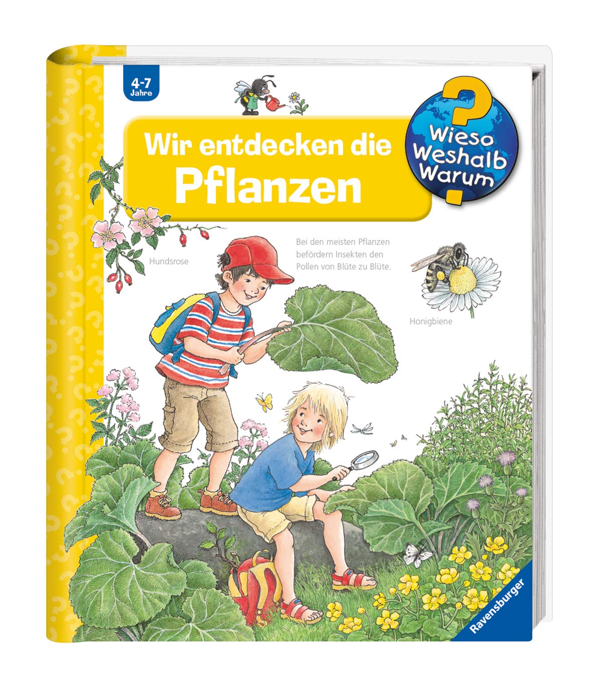 Pflanzen (Hardcover)