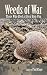Weeds of War by Paul Kluge Weeds of War by Paul Kluge
