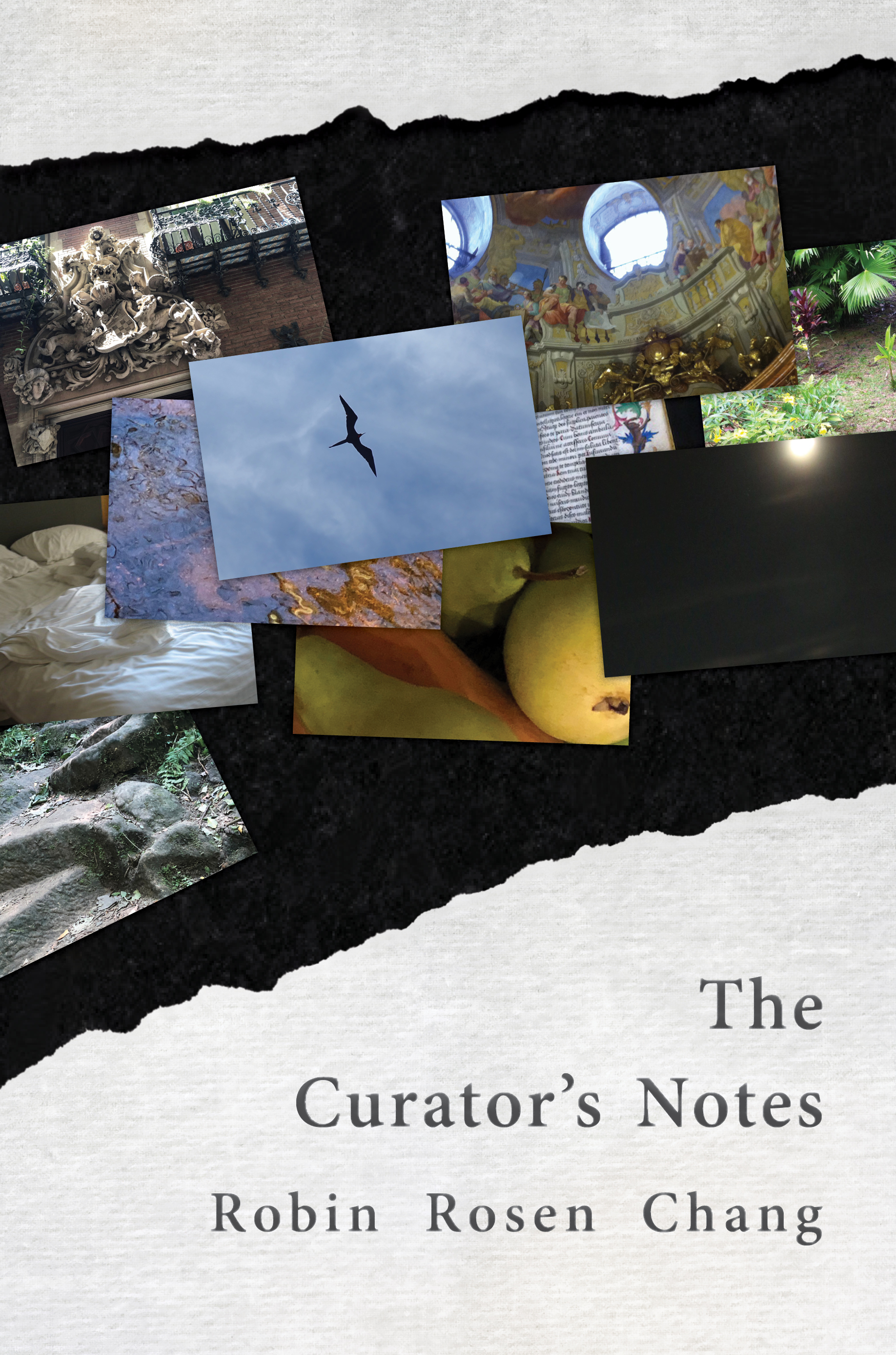 The Curator's Notes (Paperback)