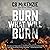 Burn What Will Burn: A Novel