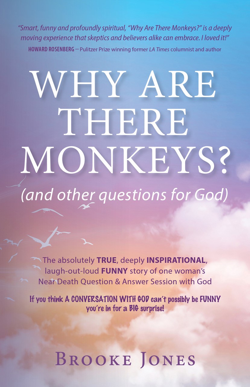 Why Are There Monkeys? (and Other Questions for God)
