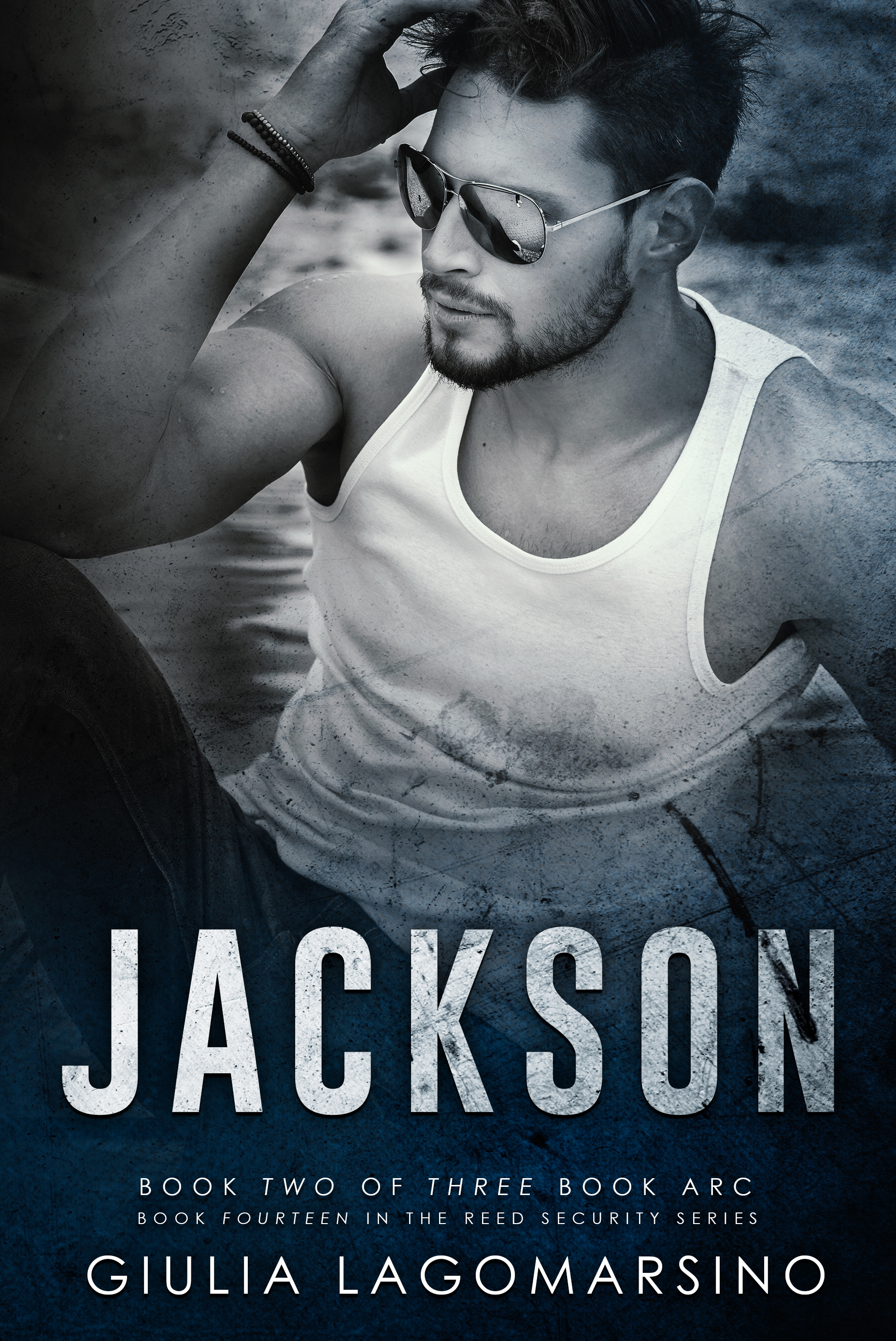 Jackson: Book 2 of a 3 book arc (Reed Security 14)