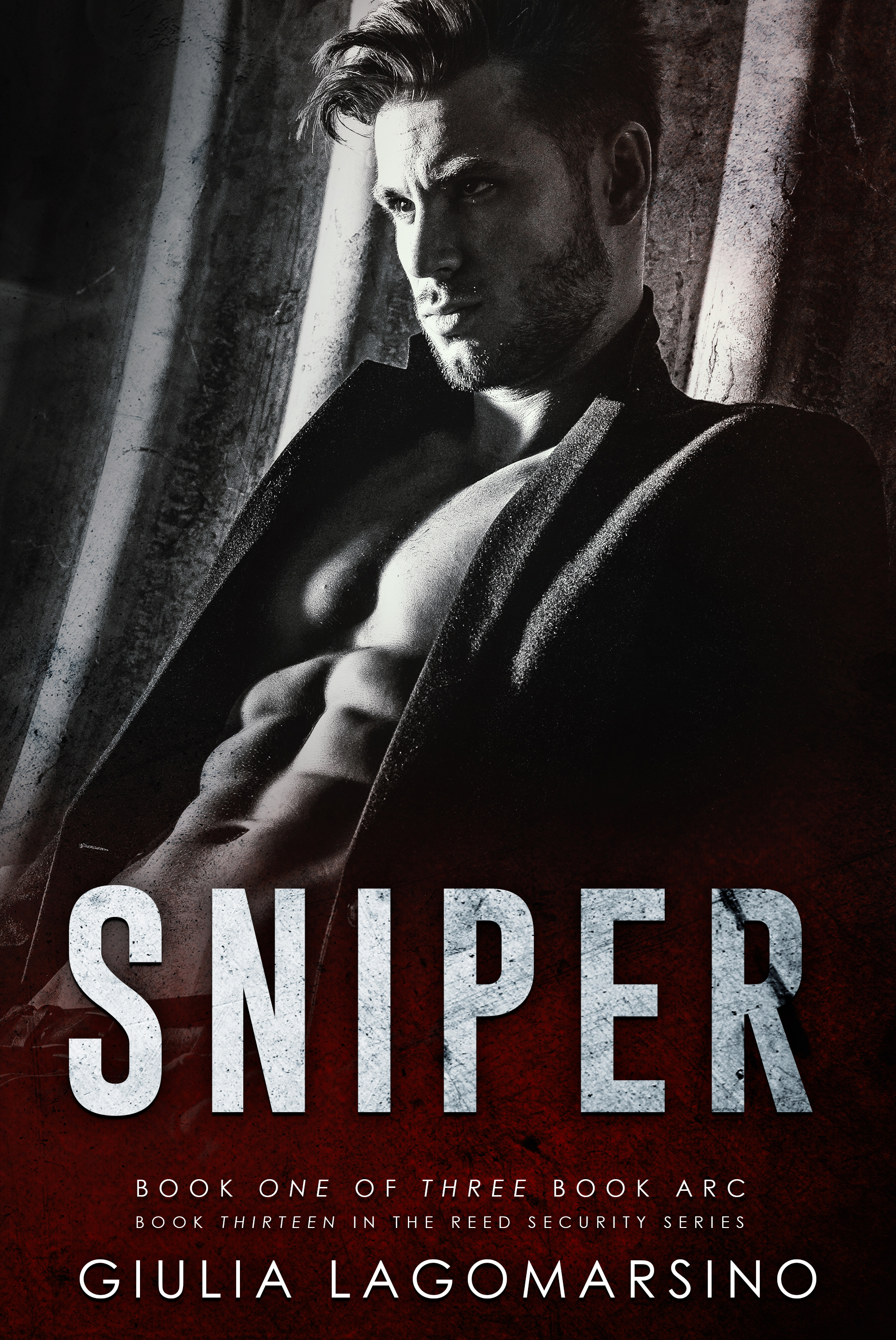 Sniper: Book 1 of a 3 book arc (Reed Security 13)