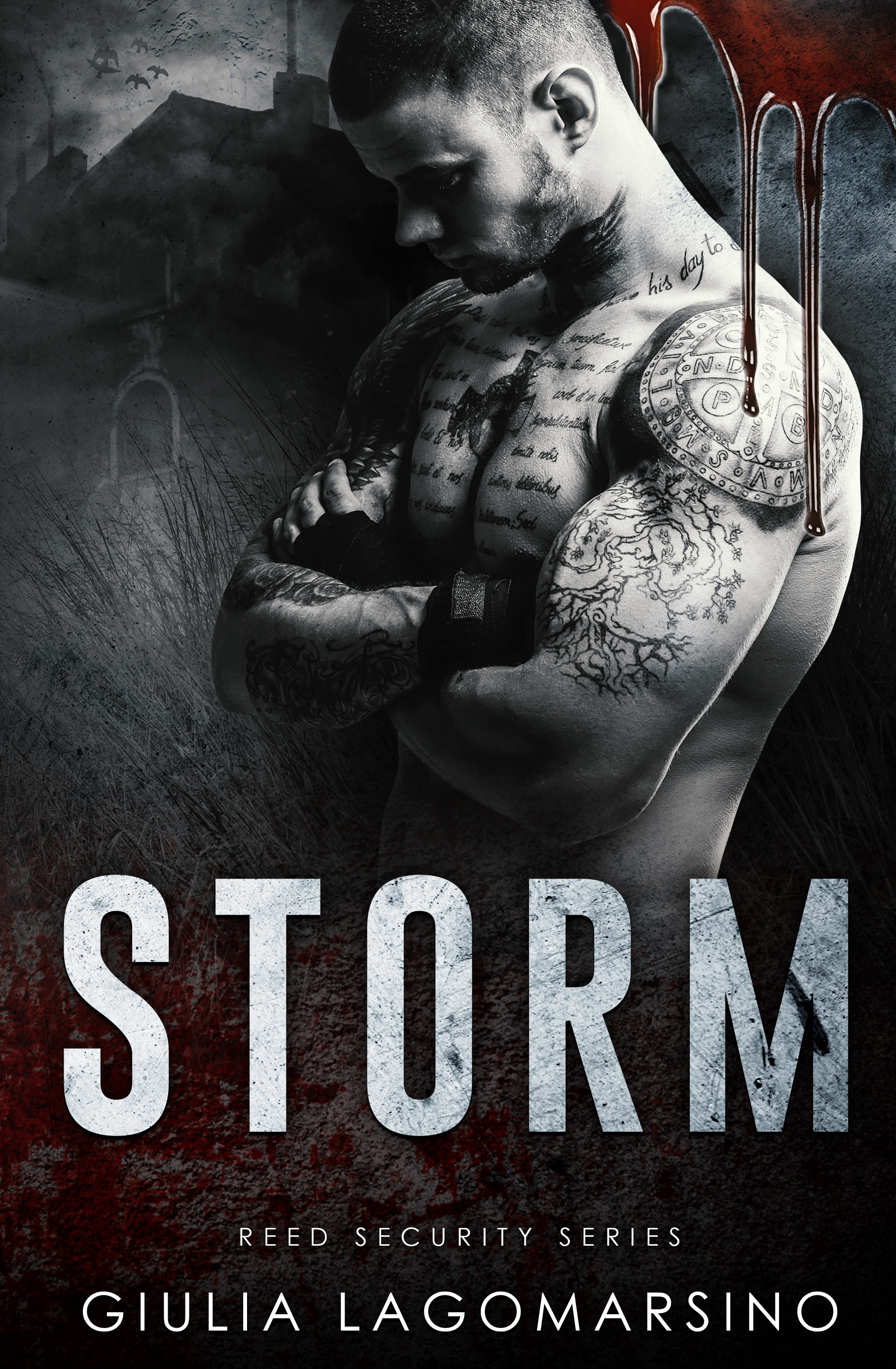 Storm (Reed Security #18)