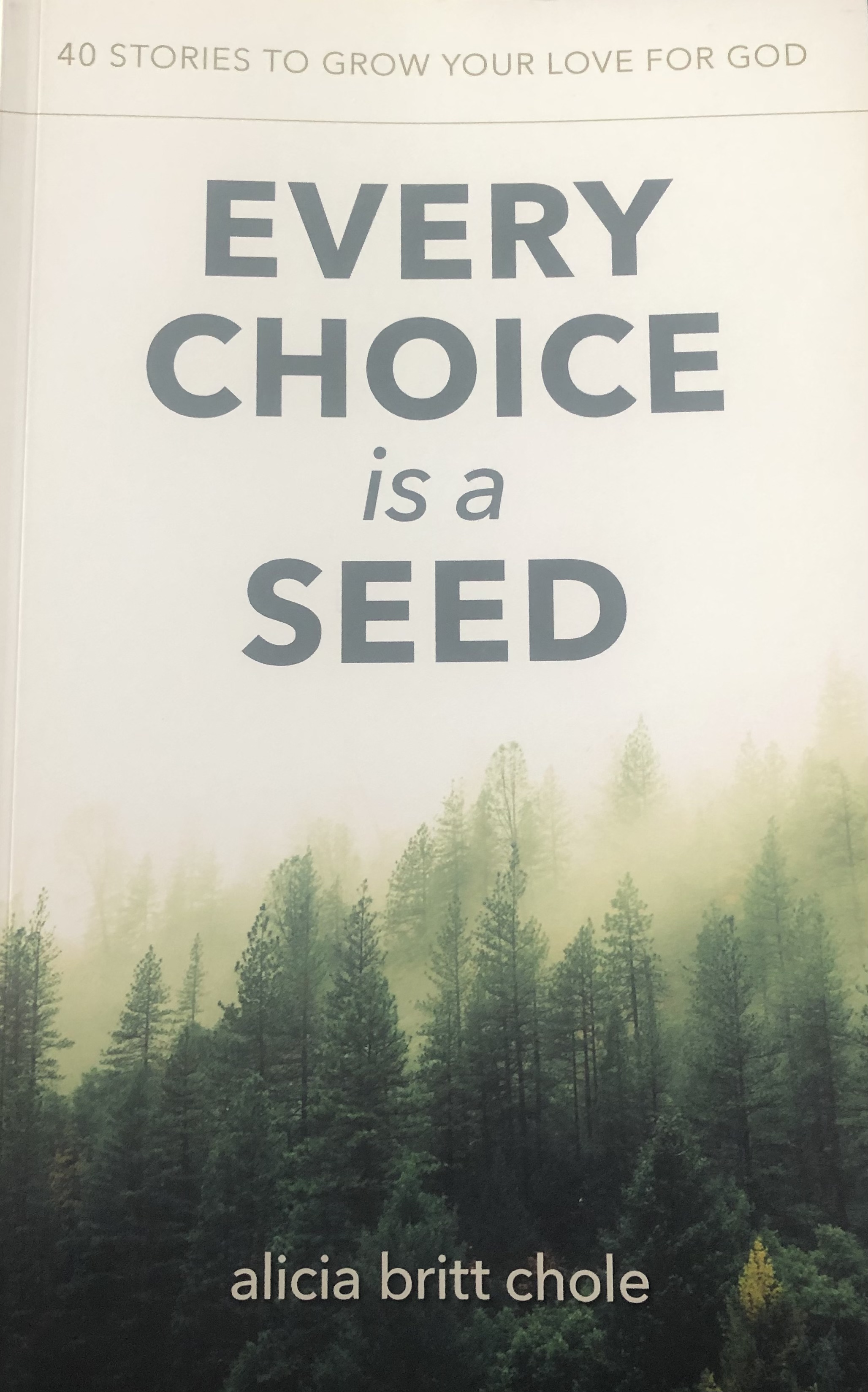 Every Choice is a Seed