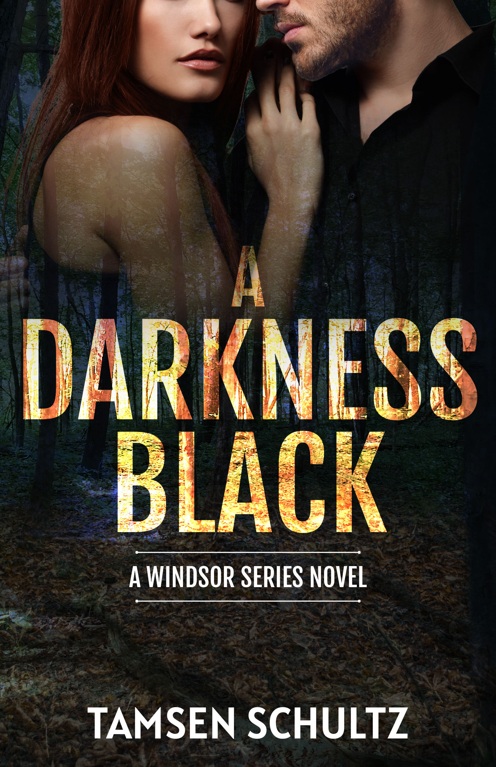 A Darkness Black (Windsor, #6)