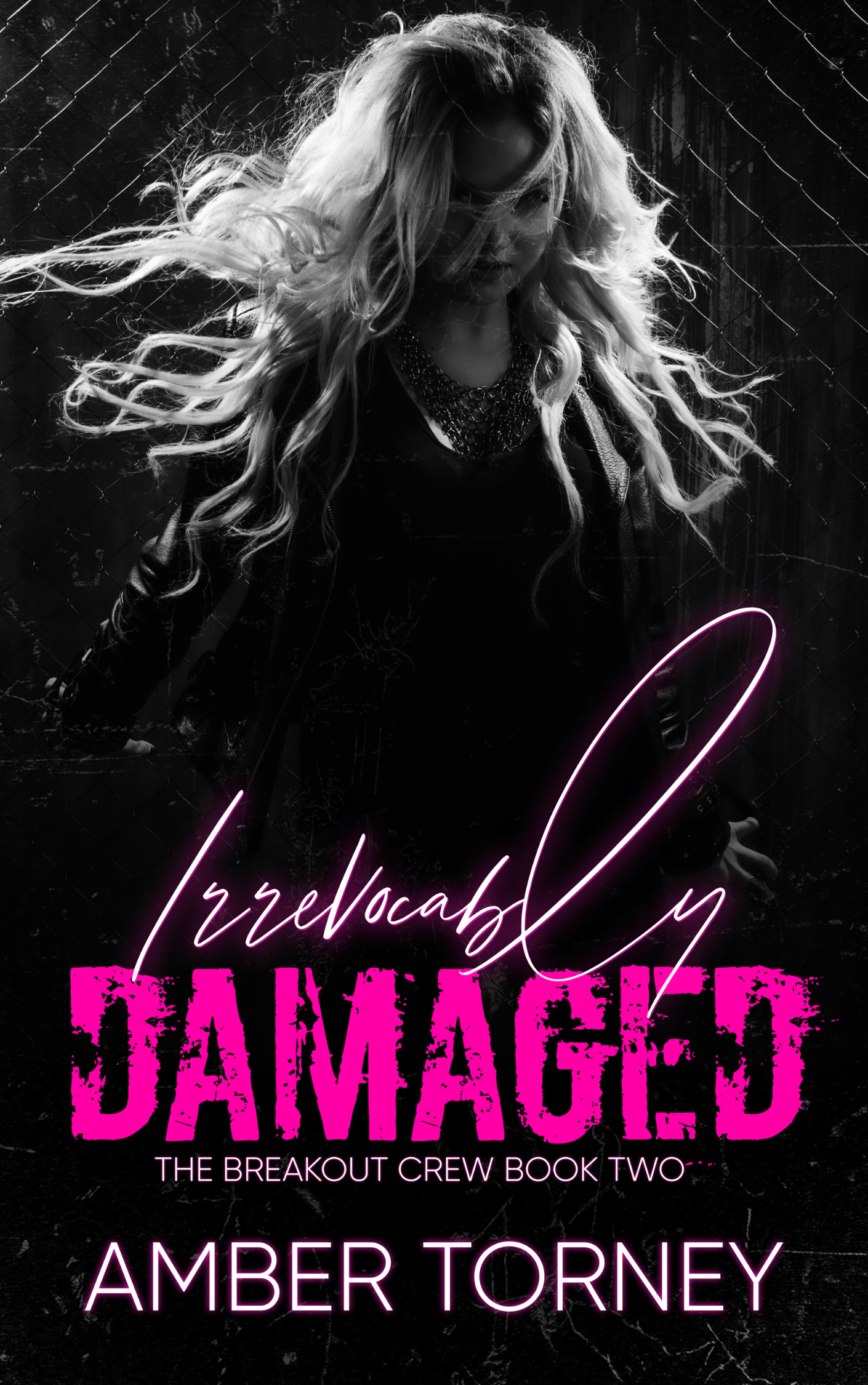Irrevocably Damaged (The Breakout Crew, #2)
