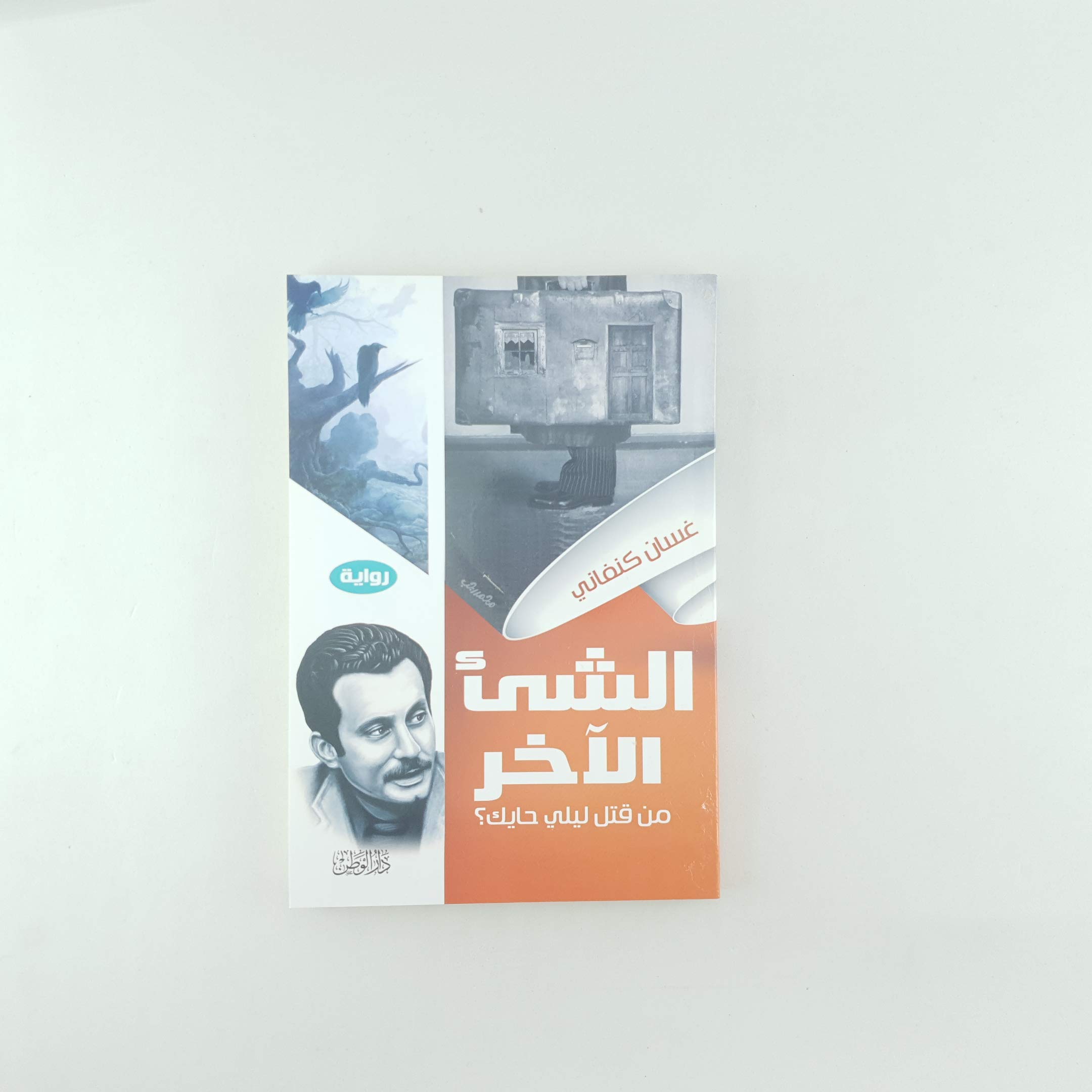 الشئ الآخر من قتل ليلي حايك (Paperback)