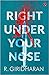 Right Under Your Nose by R.Giridharan