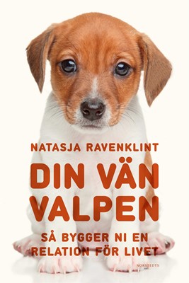 Din vän valpen: Så bygger ni en relation för livet (Hardcover)