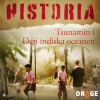 Tsunamin i indiska oceanen 2004