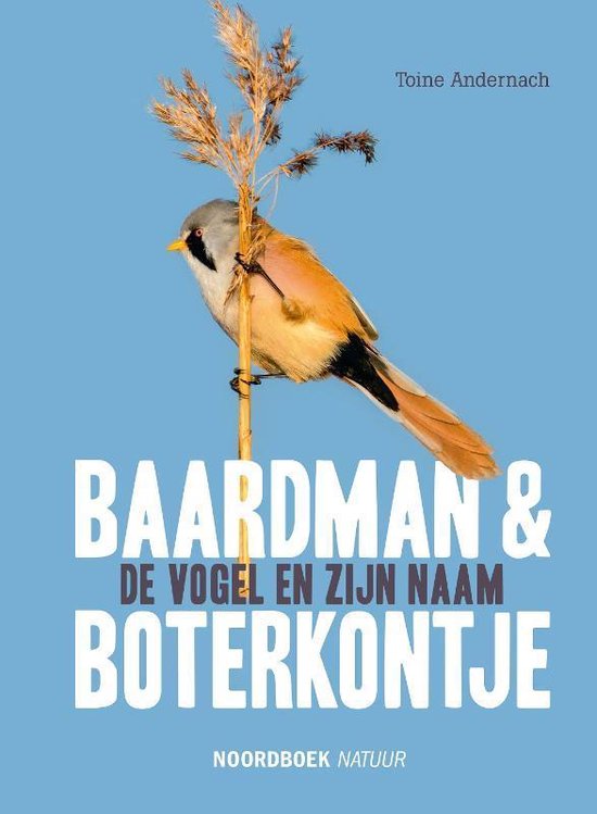 Baardman en boterkontje (Hardcover)
