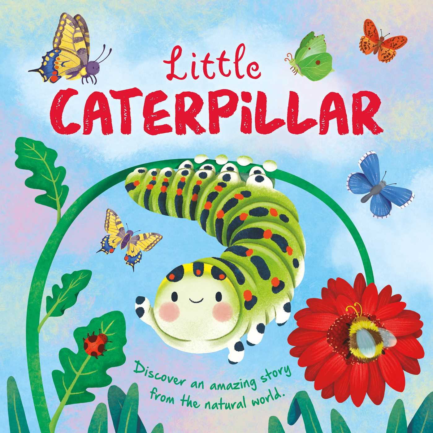Nature Stories: Little Caterpillar: Padded Board Book (Board Book)