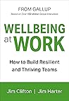 Wellbeing at Work by Jim Clifton