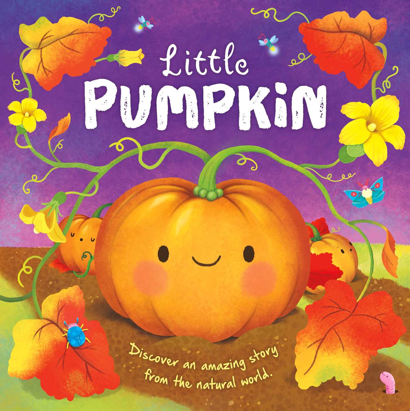 Little Pumpkin - Discover an Amazing Story from the Natural World (Paperback)