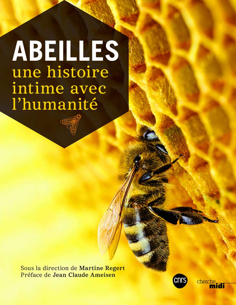 Abeilles - Une histoire intime avec l'humanité (Paperback)