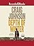 Depth of Winter (Walt Longmire, #14)