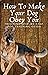 How To Make Your Dog Obey You: Step-by-Step Dog Training Guide