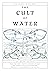 The Cult of Water by David  Bramwell
