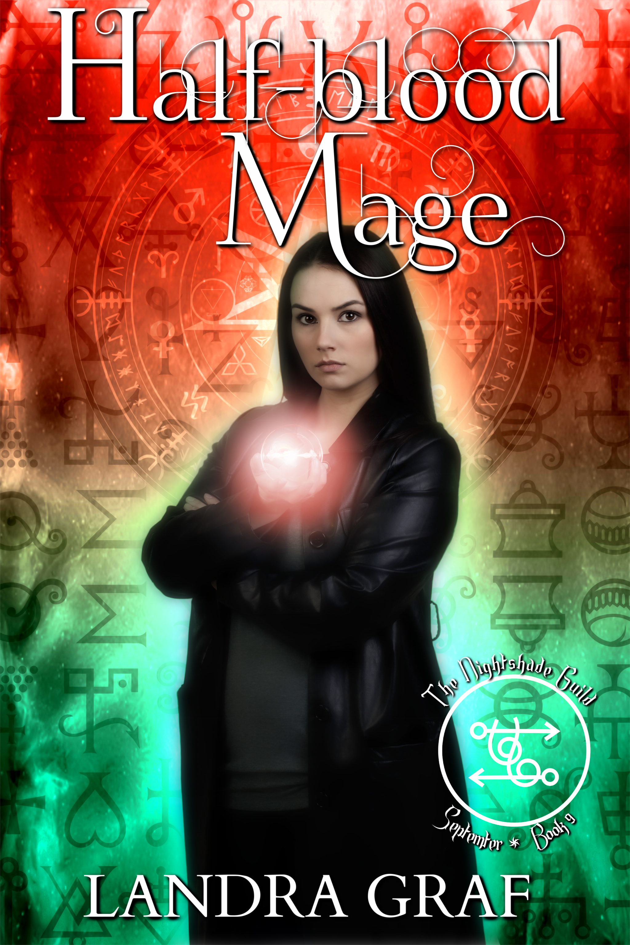 Half-Blood Mage (Year 1 - The Nightshade Guild: The Elven Princess Book 9)