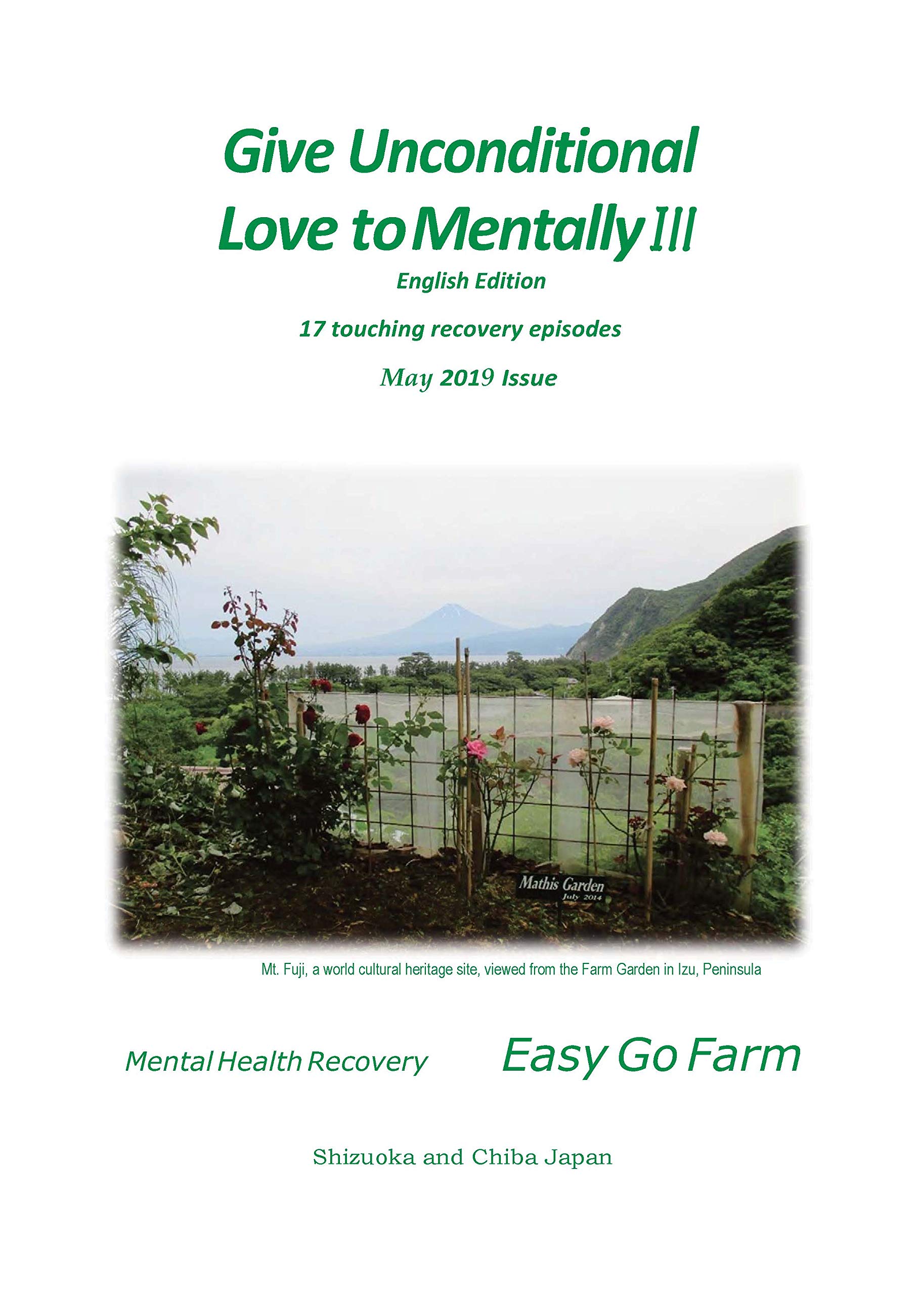 Give Unconditional Love to Mentally Ill: 17 touching recovery episodes (Kindle Edition)